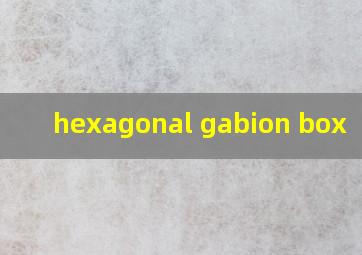  hexagonal gabion box
